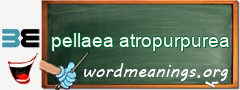 WordMeaning blackboard for pellaea atropurpurea